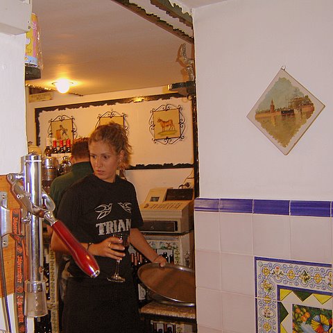 golondrinas-11.jpg