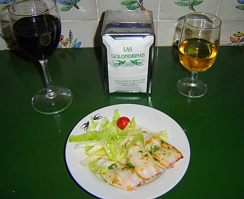 golondrinas-8.jpg