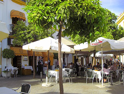 modesto-terrace.jpg