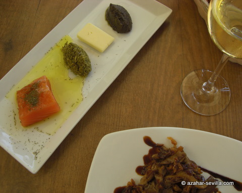 san telmo marinated salmon