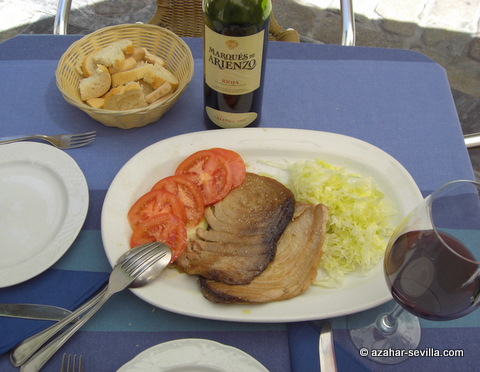 porta-gayola-tuna