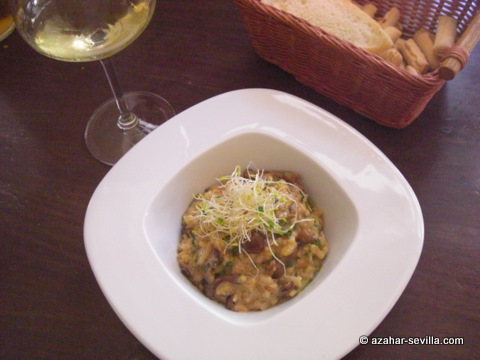 soravito risotto