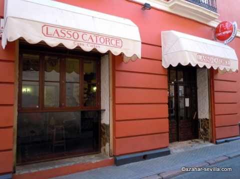 lasso catorce
