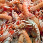 mariscos