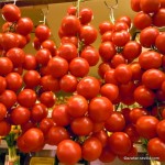 tomatoes