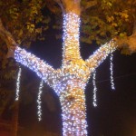christmas lights (1)