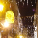 christmas lights (10)