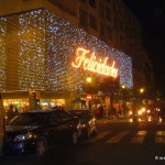christmas lights (11)