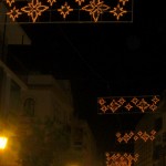 christmas lights (12)