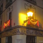 christmas lights (13)