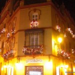 christmas lights (15)