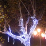 christmas lights (17)