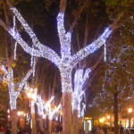 christmas lights (18)