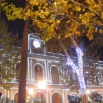 christmas lights (19)