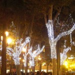 christmas lights (2)