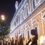 christmas lights (20)