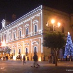 christmas lights (21)