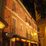 christmas lights (3)