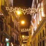 christmas lights (4)