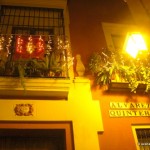 christmas lights (5)