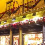 christmas lights (7)