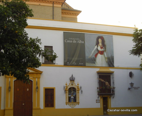 bellas artes museum