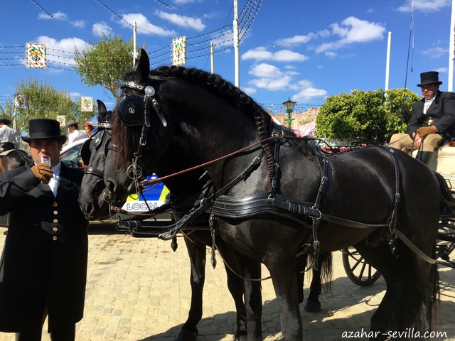 feria sevilla 2016 (11)